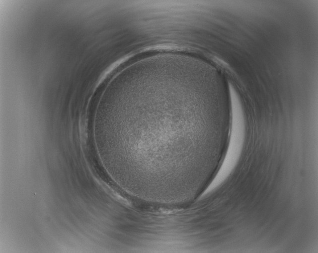 X0000081600484200701291405