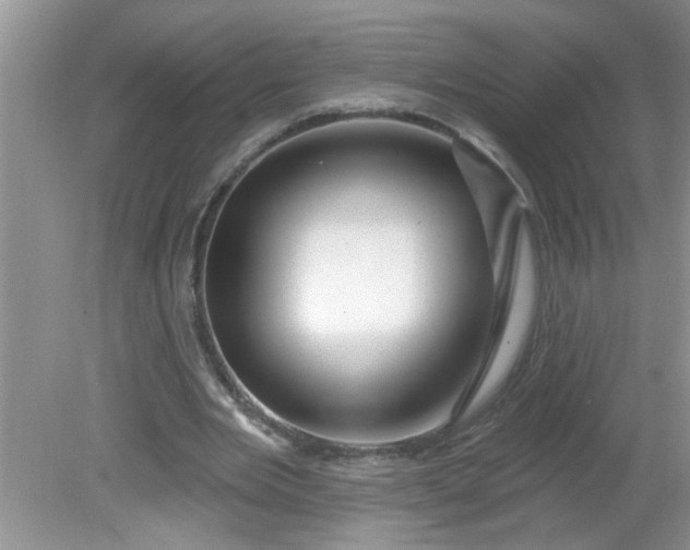 X0000081600485200701291405