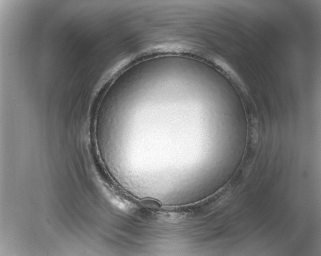 X0000081600486200701291405