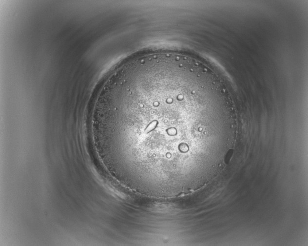 X0000081600487200701291405