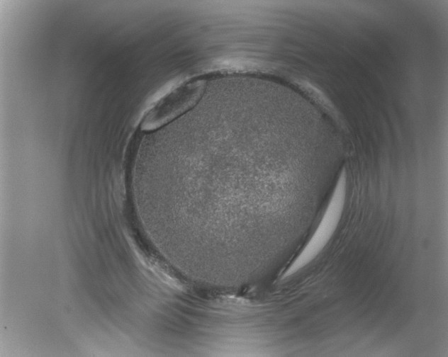 X0000081600488200701291405