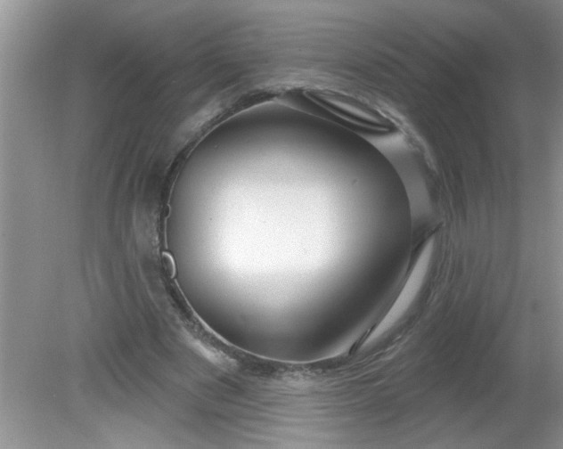 X0000081600489200701291405