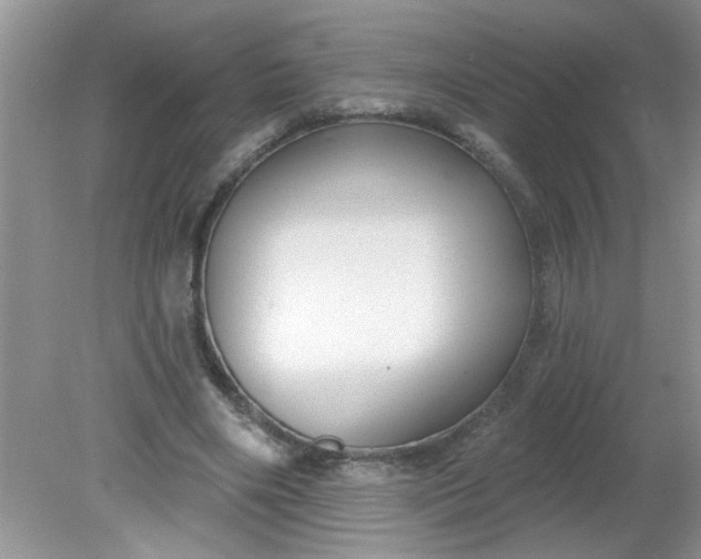 X0000081600490200701291405