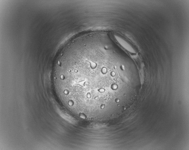 X0000081600491200701291405