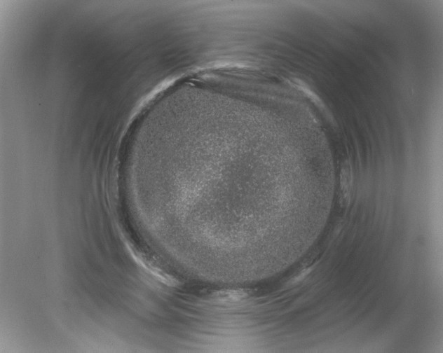 X0000081600492200701291405