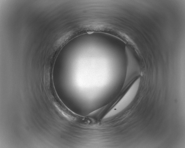 X0000081600493200701291405