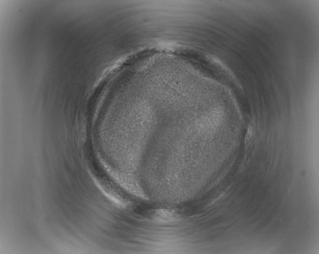 X0000081600496200701291405