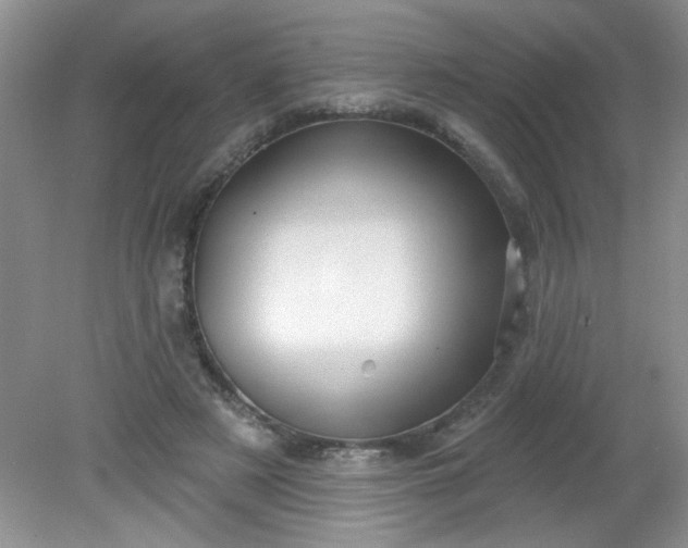 X0000081600497200701291405