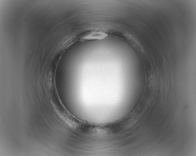 X0000081600498200701291405