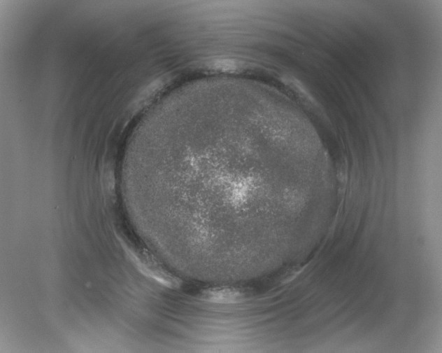 X0000081600500200701291405