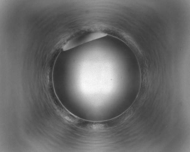 X0000081600501200701291405