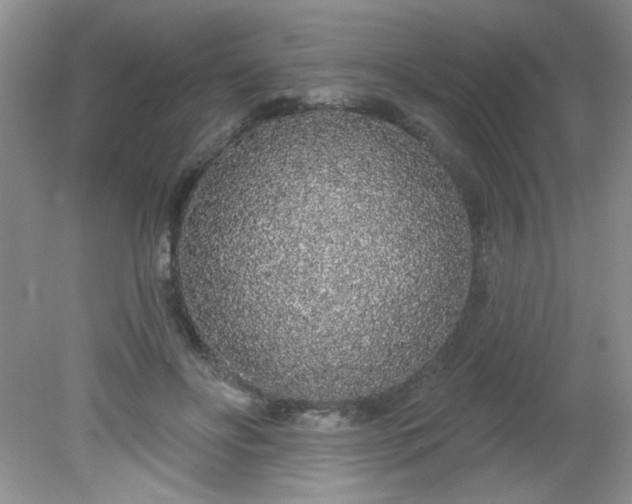 X0000081600502200701291405