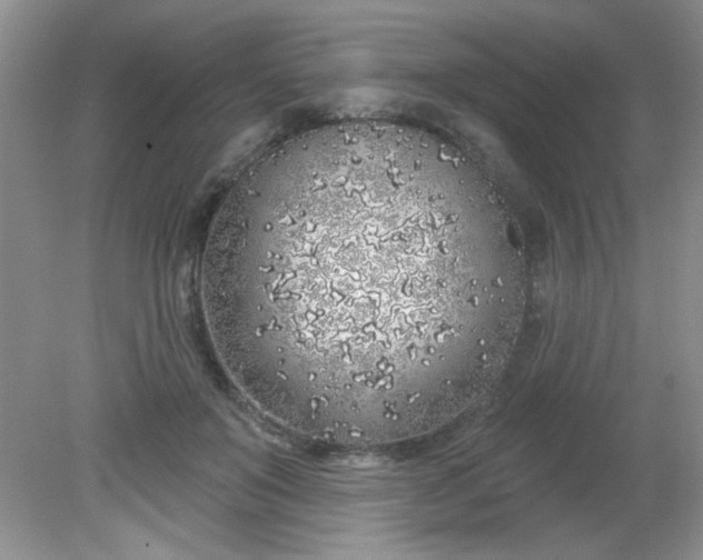 X0000081600503200701291405