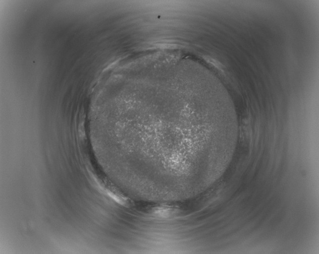 X0000081600504200701291405