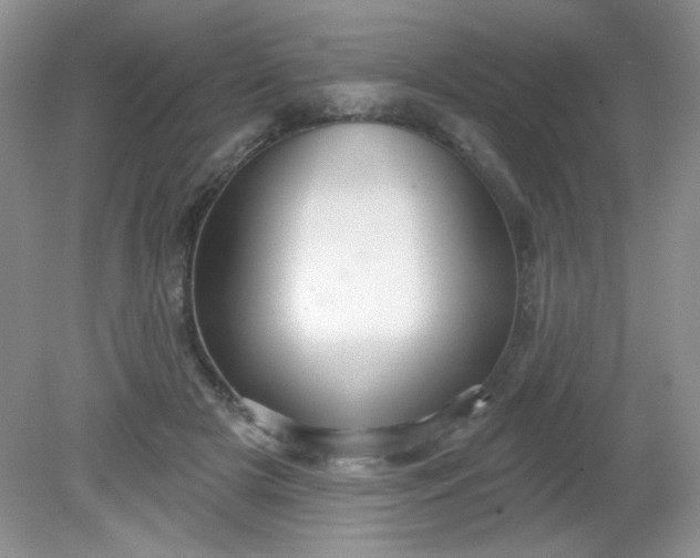 X0000081600505200701291405