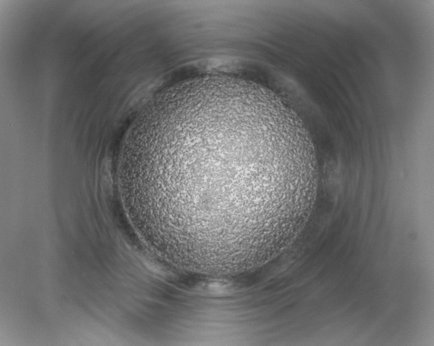 X0000081600506200701291405