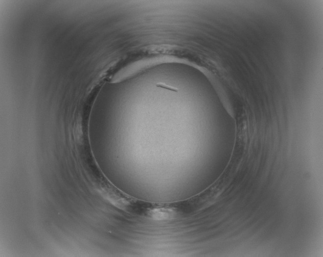 X0000081600508200701291405