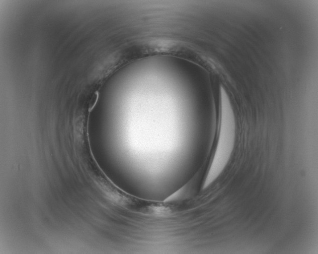 X0000081600509200701291405