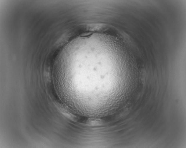 X0000081600510200701291405