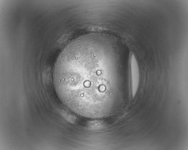 X0000081600511200701291405