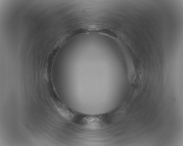 X0000081600512200701291405