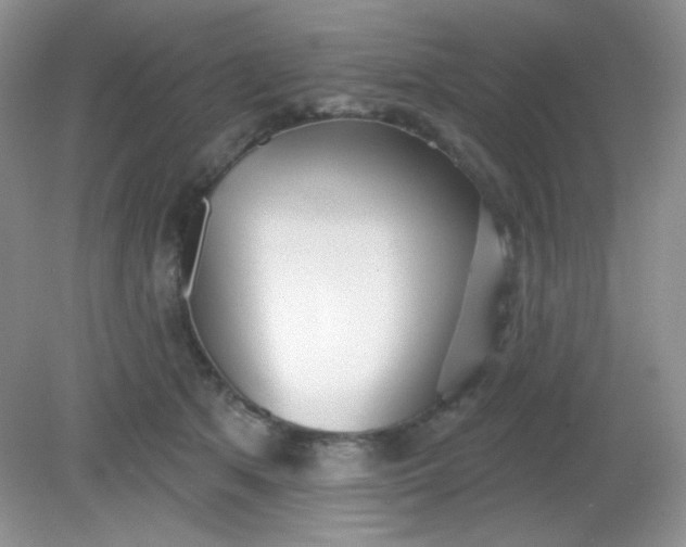 X0000081600513200701291405