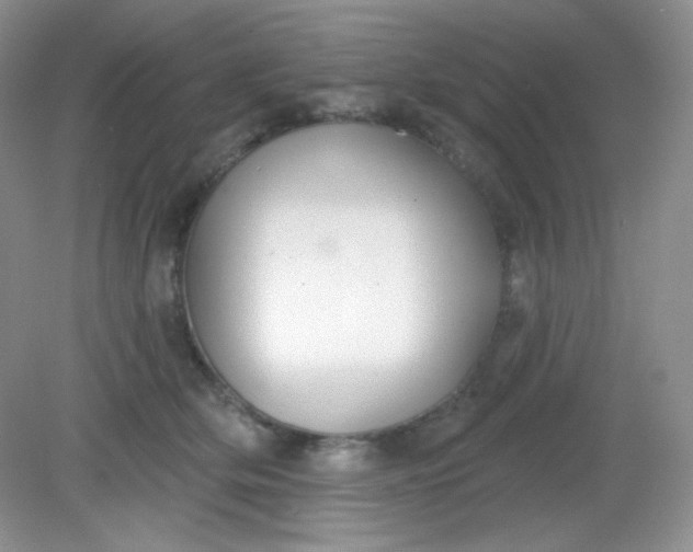 X0000081600514200701291405