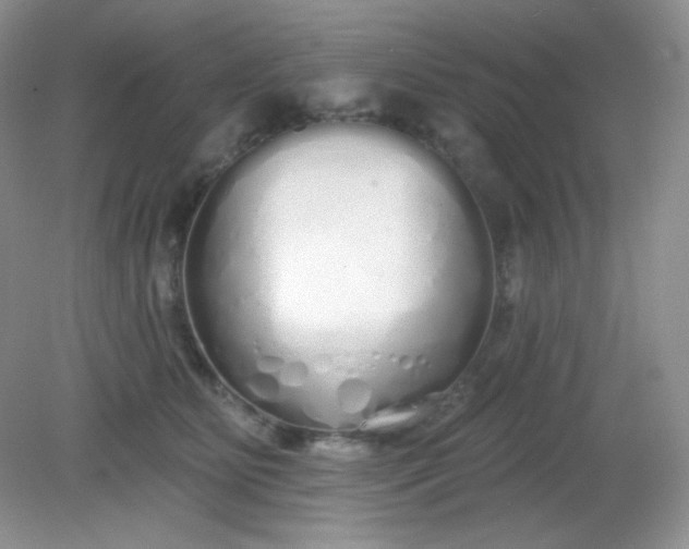 X0000081600515200701291405