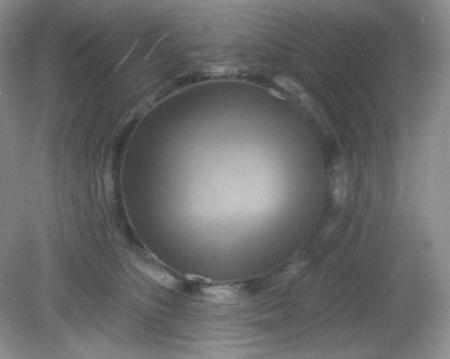 X0000081600516200701291405