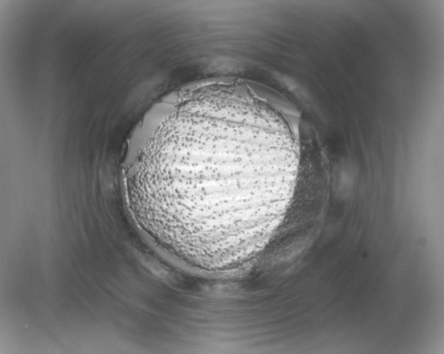 X0000081600517200701291404