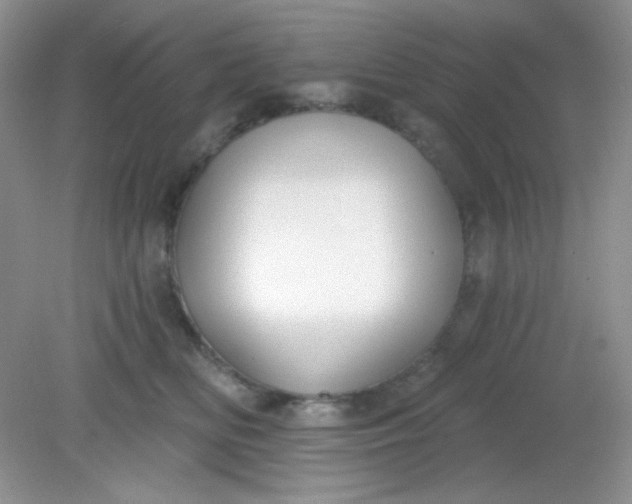 X0000081600518200701291404