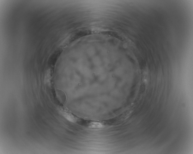 X0000081600519200701291404