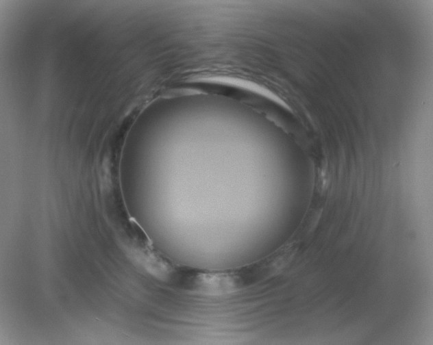 X0000081600520200701291404