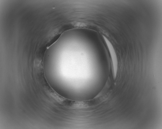 X0000081600521200701291404