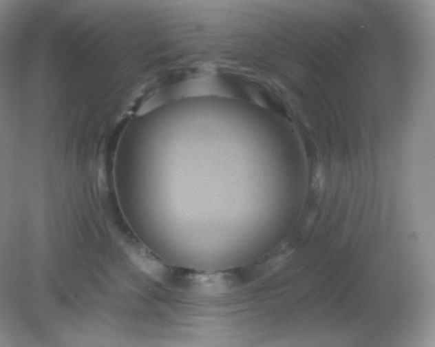 X0000081600524200701291404