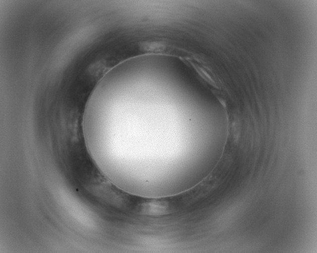 X0000081600525200701291404