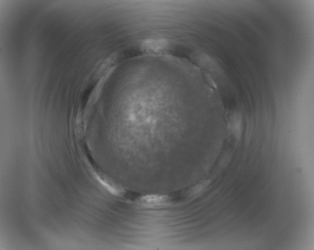 X0000081600526200701291404