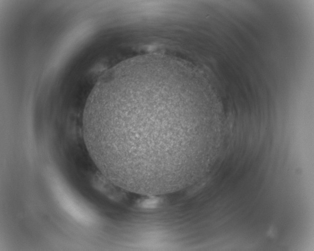 X0000081600527200701291404