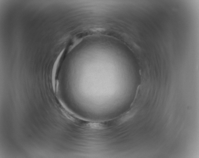 X0000081600528200701291404