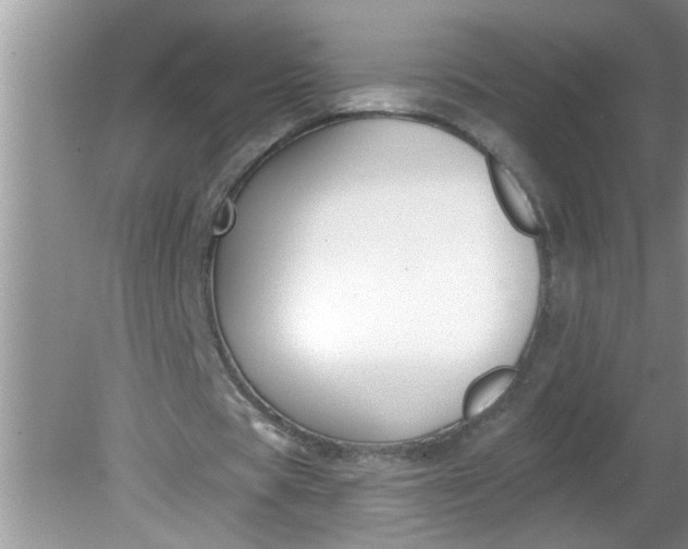 X0000081600529200701291403