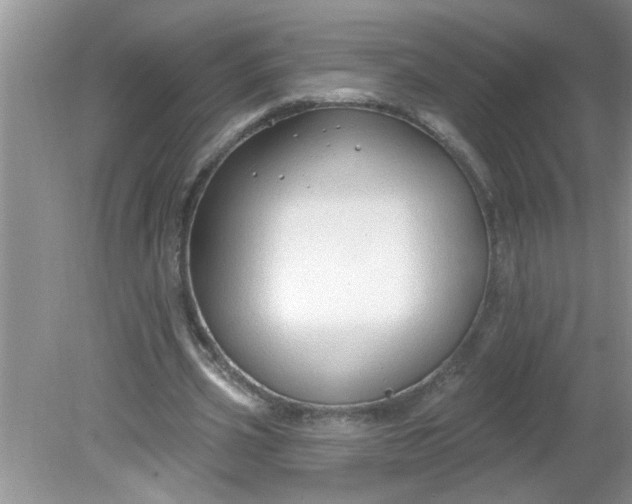 X0000081600533200701291404