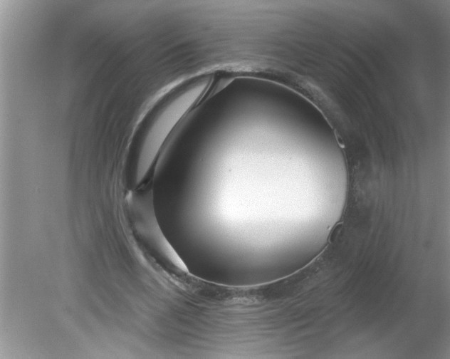 X0000081600536200701291404