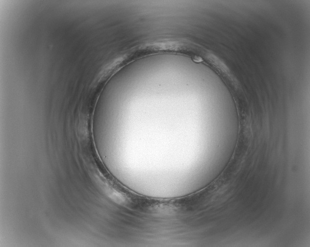 X0000081600537200701291404