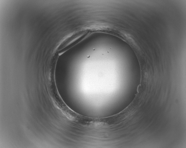 X0000081600539200701291404