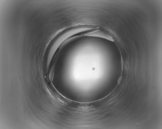 X0000081600540200701291404