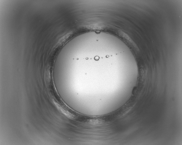 X0000081600541200701291404