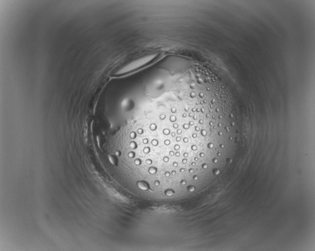 X0000081600545200701291404