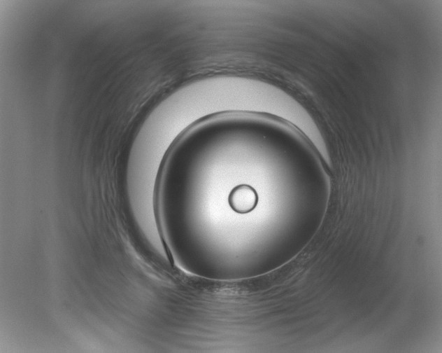 X0000081600546200701291404