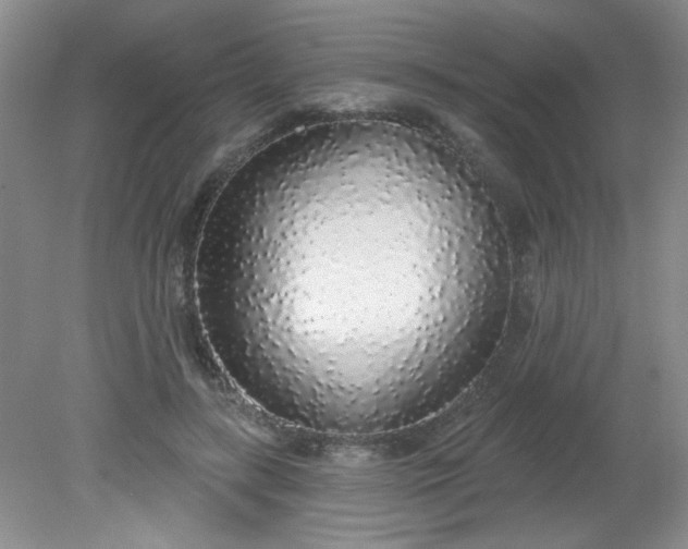 X0000081600547200701291404