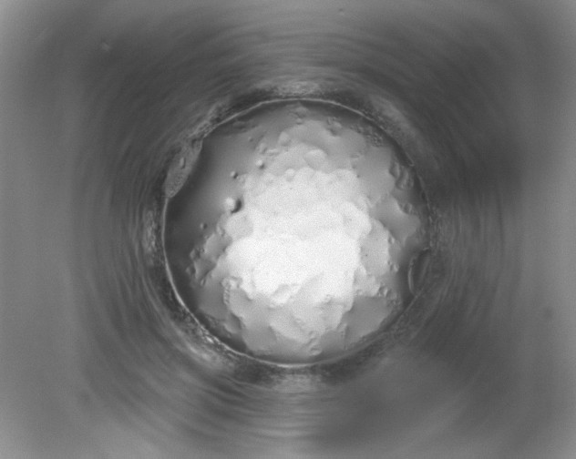 X0000081600549200701291404